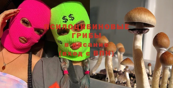 шишки Киренск