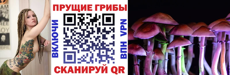 Купить закладки  Болгар  Галлюциногенные грибы мицелий 